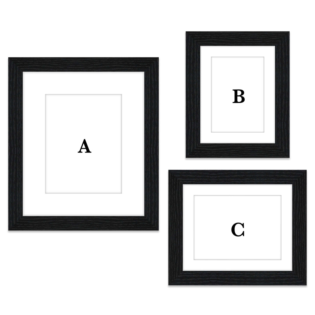 Gallery Wall #802 Jensen / Black Grain Gallery Walls Made Easy