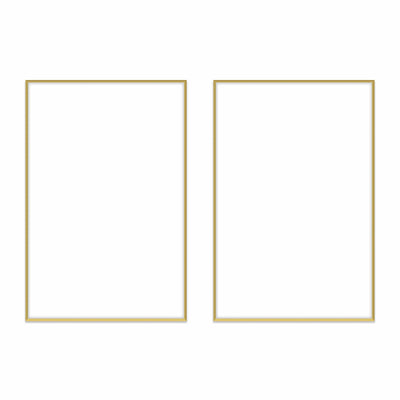Gallery Wall Diptych #122 Ashton Frame (flat) / Gold Satin Gallery Walls Made Easy