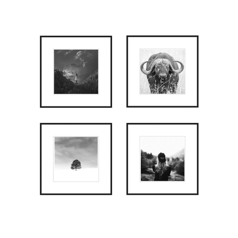 Gallery Wall - The Quads 