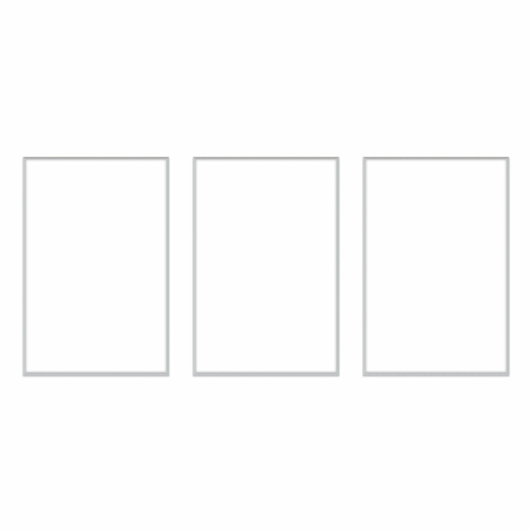 Gallery Wall Triptych #124 Ashton Frame (flat) / Silver Satin Gallery Walls Made Easy