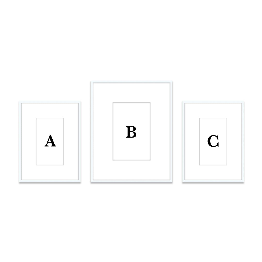 Gallery Wall Triptych #805 Ashton Frame (flat) / White Gallery Walls Made Easy