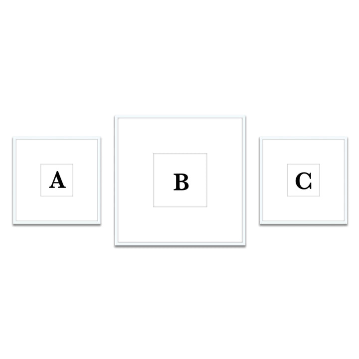 Gallery Wall Triptych #806 Ashton Frame (flat) / White Gallery Walls Made Easy